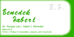 benedek haberl business card